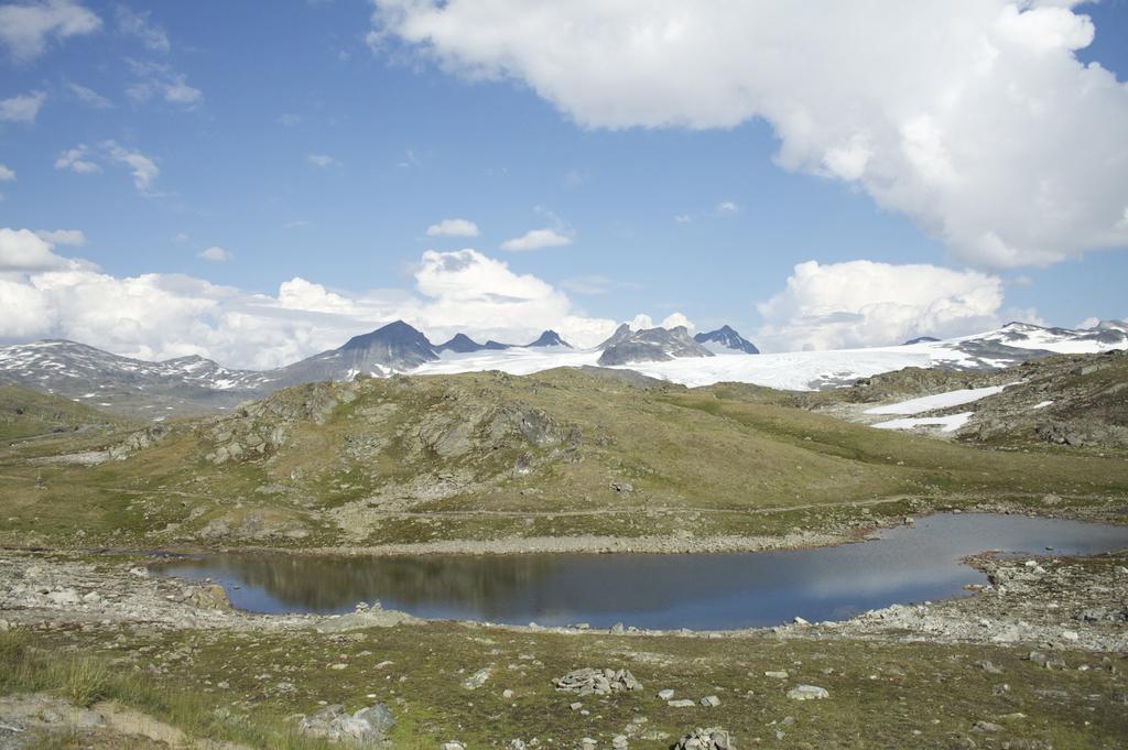 Dalsoren Camping Og Hytter Luster Luaran gambar